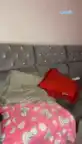 G-karimpink – [Camsoda] Crazy Goal Romantic Live Show – 2026-04-19 18:20:23