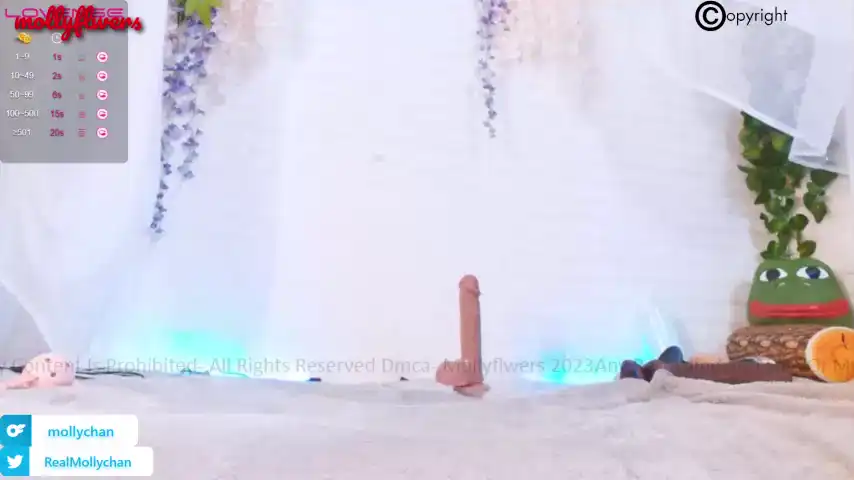 Mollyflwers – [Chaturbate] Natural Realsex Party – 2026-03-31 02:06:44