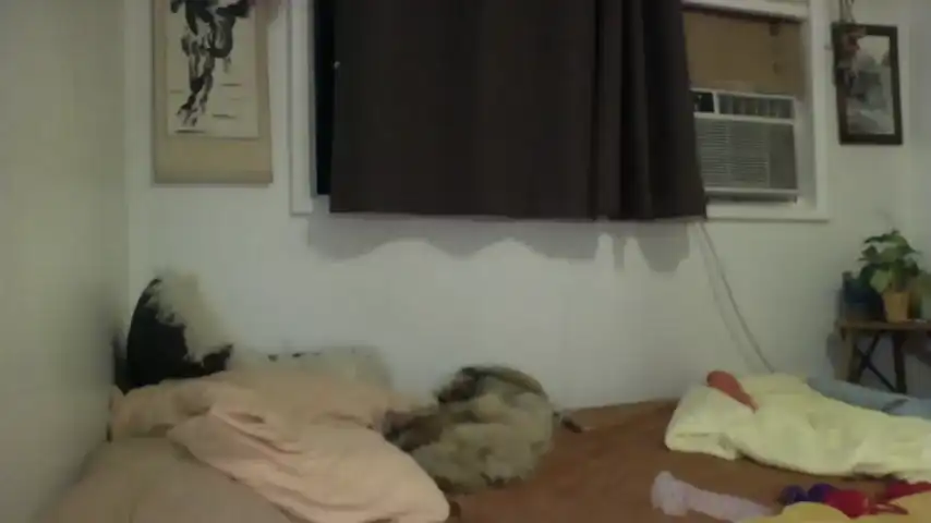 Bambidear420 – [Chaturbate] Twerking Ass Hot Parts – 2025-10-31 17:15:53
