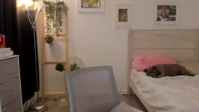 Bunni_ – [Myfreecams] Busty Pvt Romantic – 2025-04-17 14:02:29